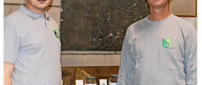 HP: Besonderes Energieprojekt in Wendesse schreitet voran HP: Besonderes Energieprojekt in Wendesse schreitet voran